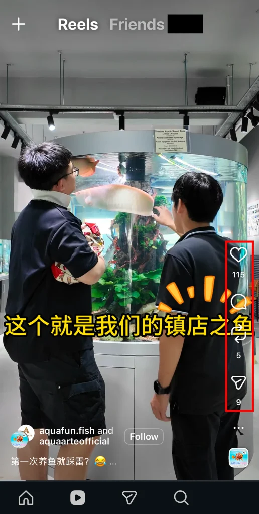 Social Media Reels 2