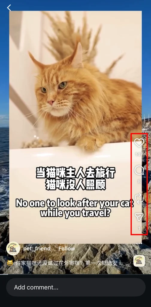 Social Media Reels 6